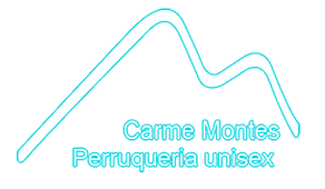 Perruqueria Carme Montes logo